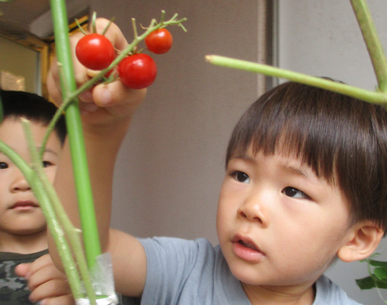 食育